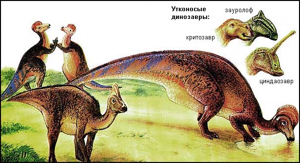 Группа коритозавров