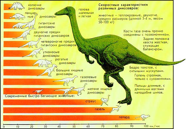 Скоростные характеристики различных динозавров